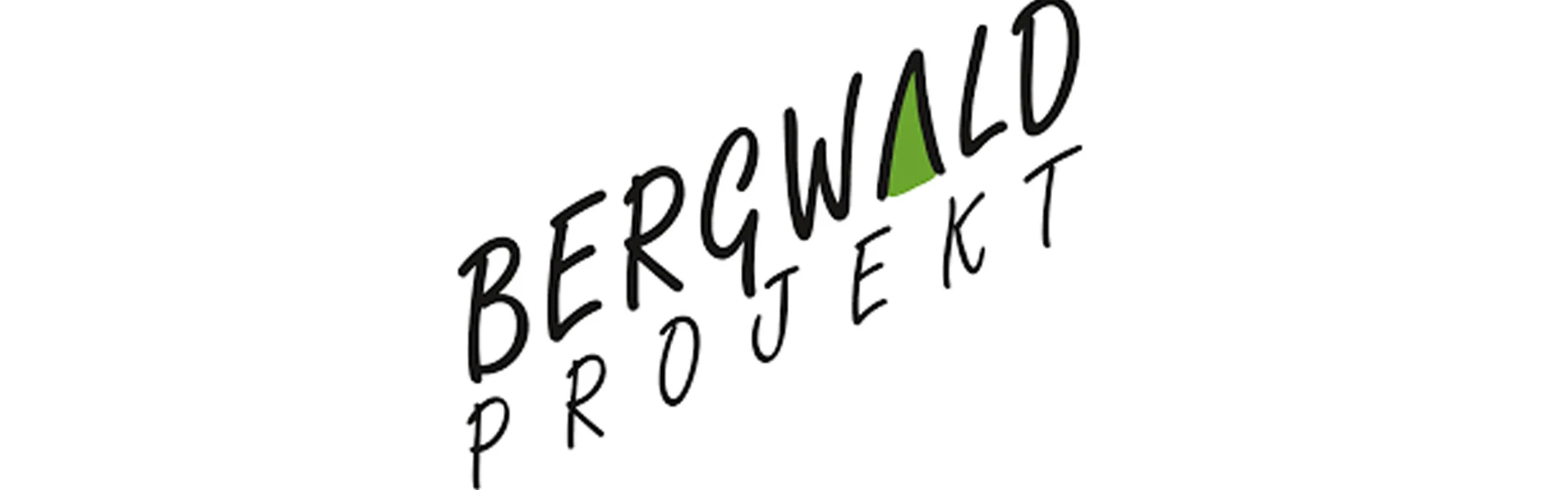recyclingprojekt_bergwald.jpg