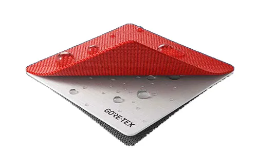 goretex-paceliteplus3.jpg