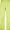 apple green
