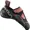 hibiscus-black