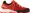 poinciana