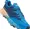 indigo bunting-bleached aprico