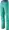 fresh teal