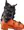 orange-black