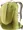 linden-cactus