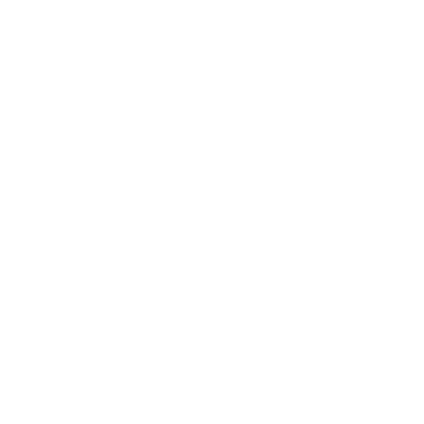 salomon_sw.png